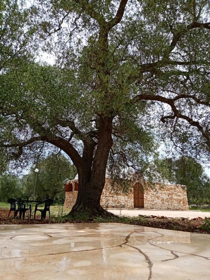 Trulli Monte Madre Villa San Vito dei Normanni Exterior photo